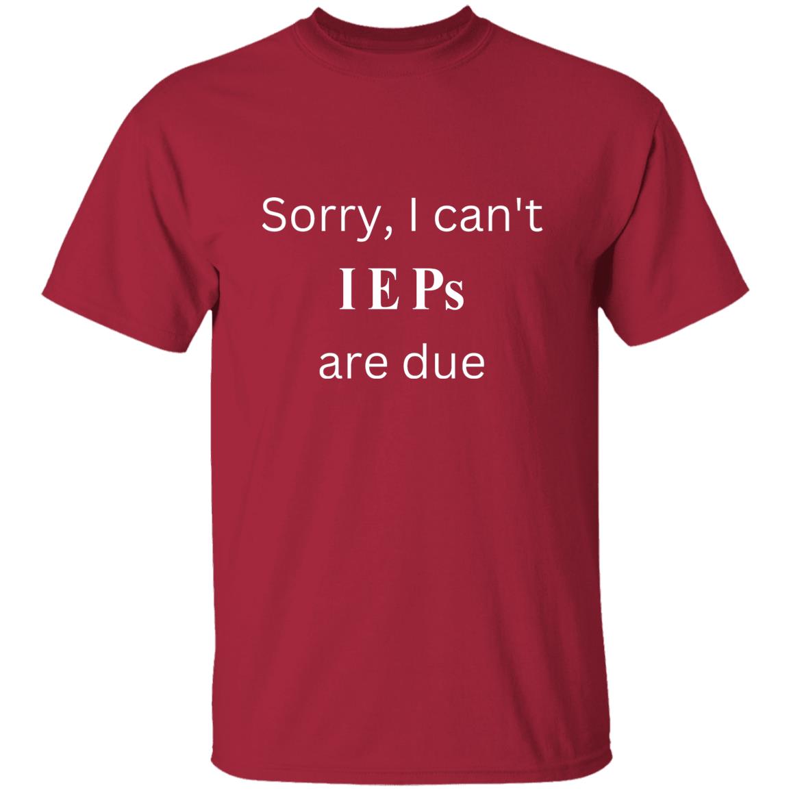 IEP DUE T-Shirt