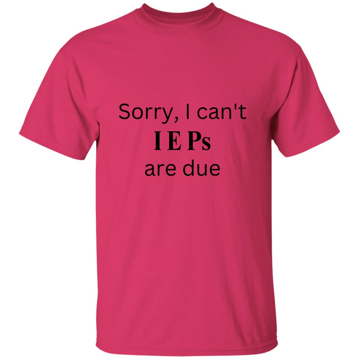 IEP DUE T-Shirt blk words