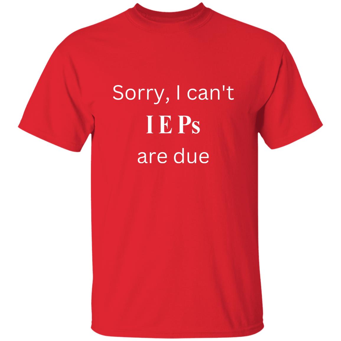 IEP DUE T-Shirt