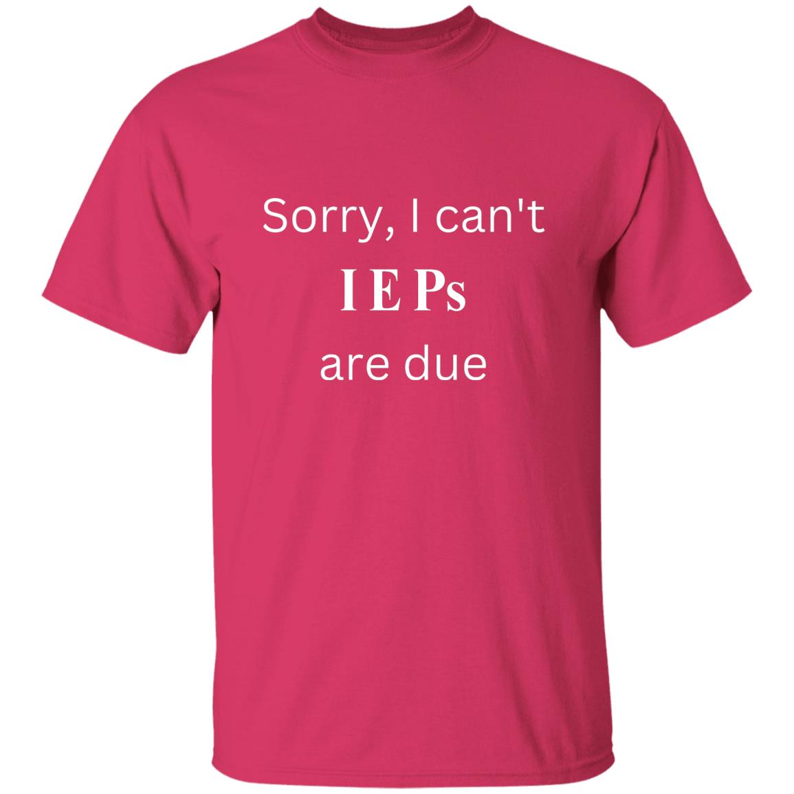 IEP DUE T-Shirt