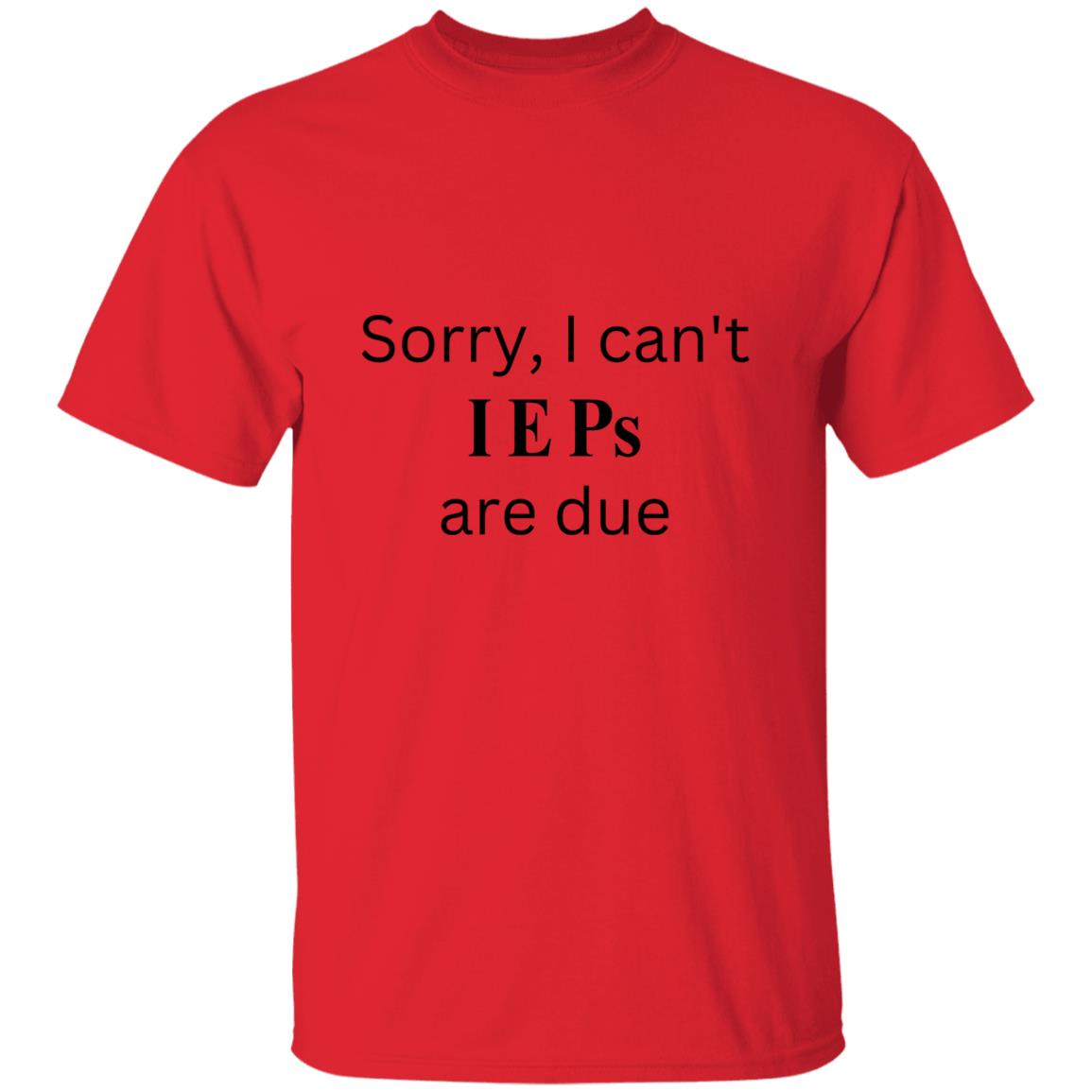 IEP DUE T-Shirt blk words