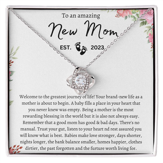 Amazing New Mom